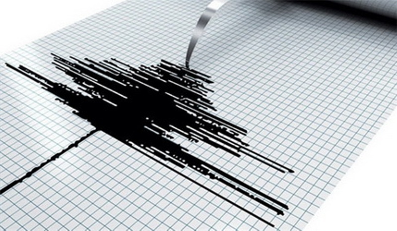 Moderate tremor jolts SW Iran