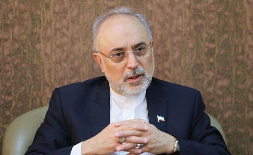 Iran writes to IAEA about 20% fuel production